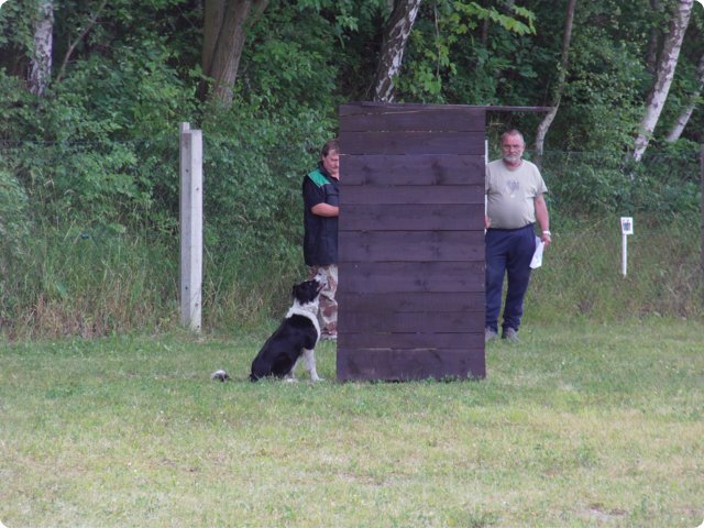 bild_174.jpg