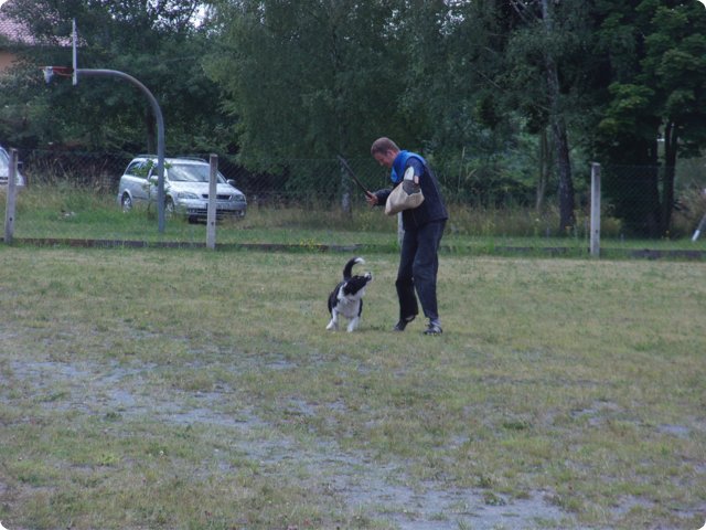 bild_179.jpg