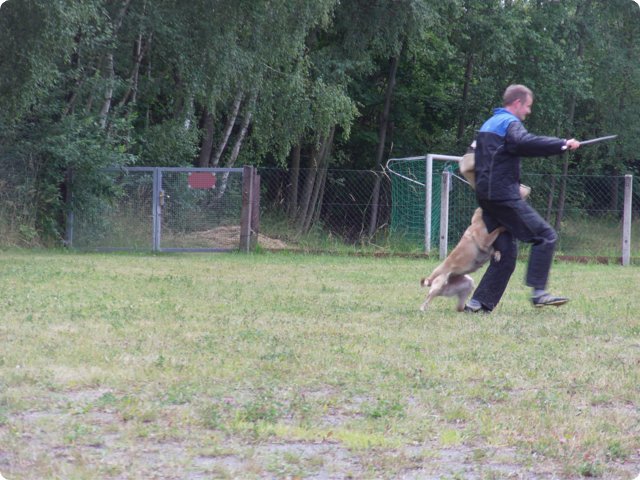 bild_216.jpg